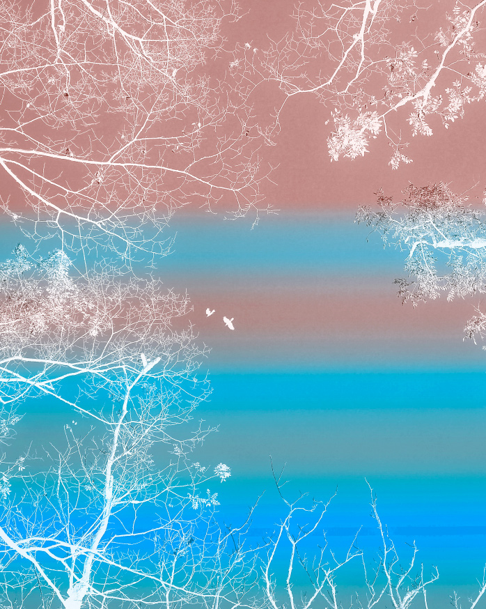 コレクション画像