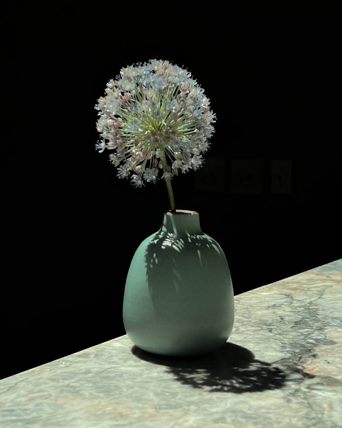 コレクション画像