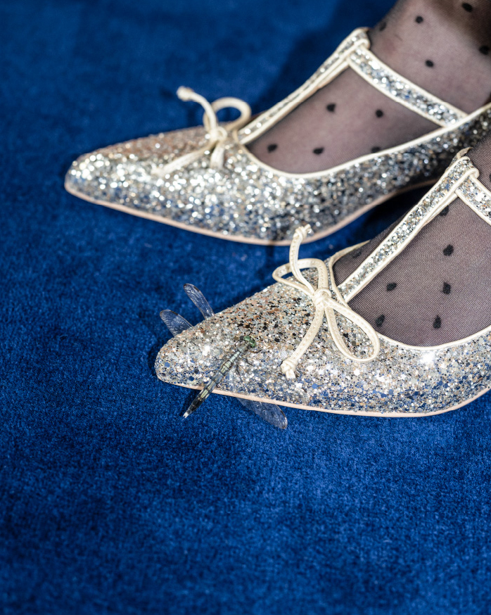 コレクション画像