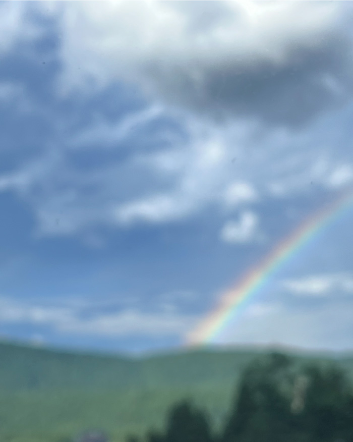 コレクション画像