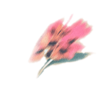 お花の装飾