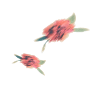 お花の装飾