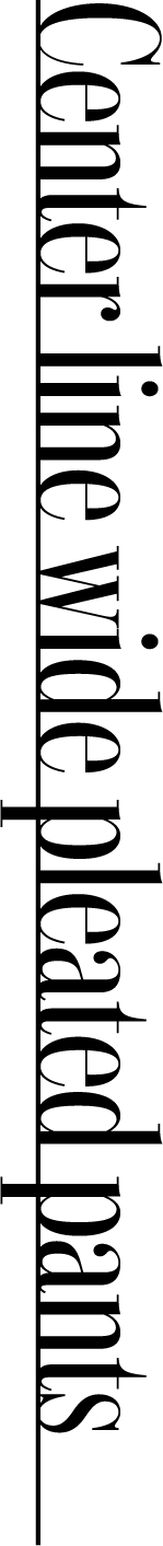 Center line wide pleated pants